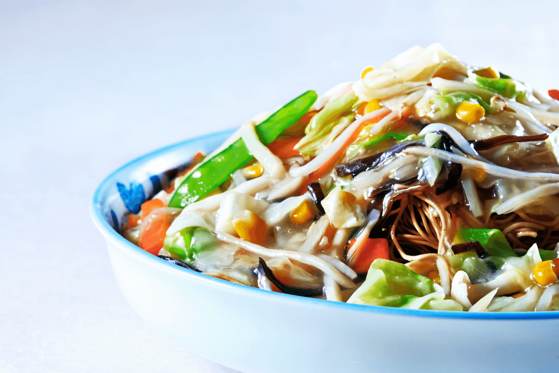 ご当地グルメキッチン　長崎ヘルシー皿うどん